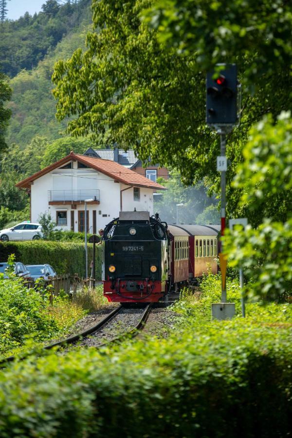 Villa Parkhaus Wernigerode Ngoại thất bức ảnh