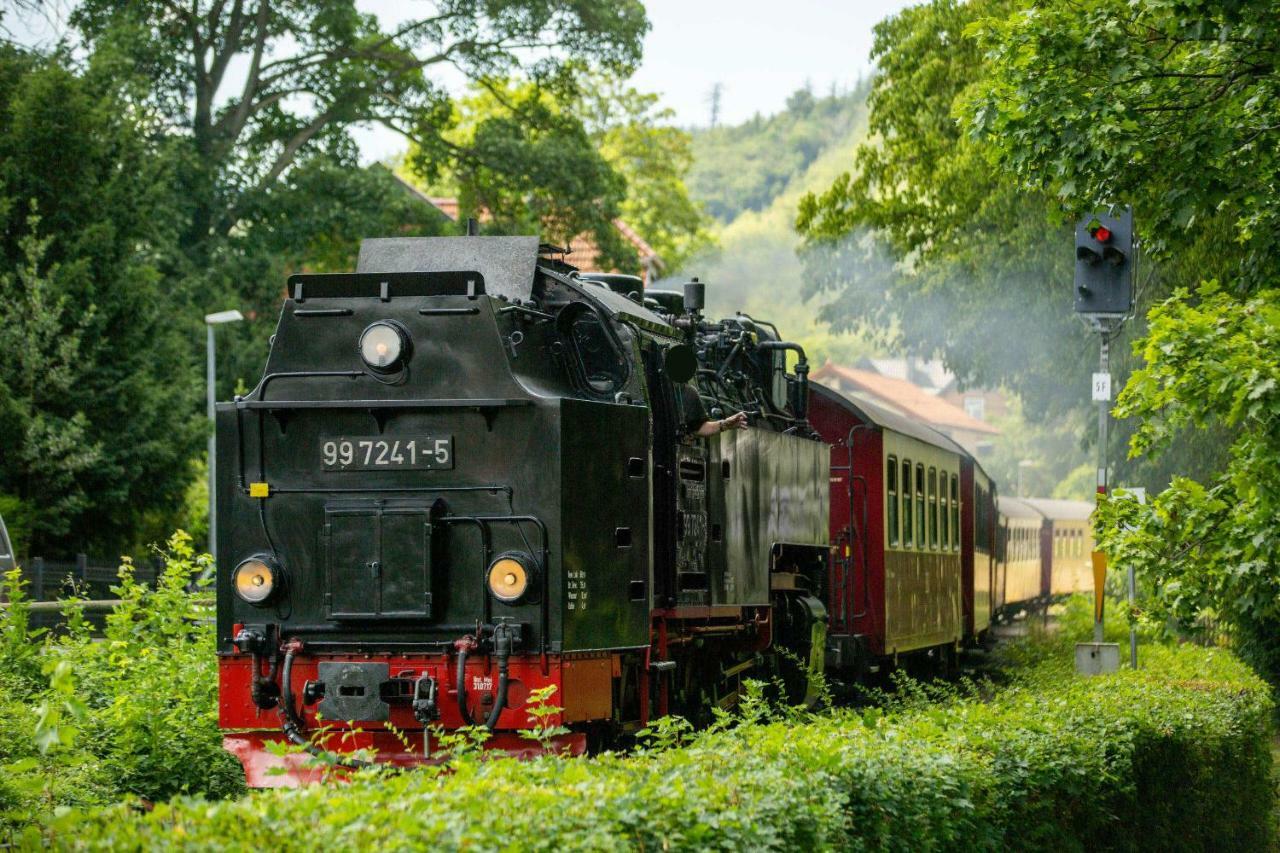 Villa Parkhaus Wernigerode Ngoại thất bức ảnh